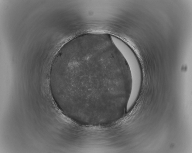 X0000090730385200708101645