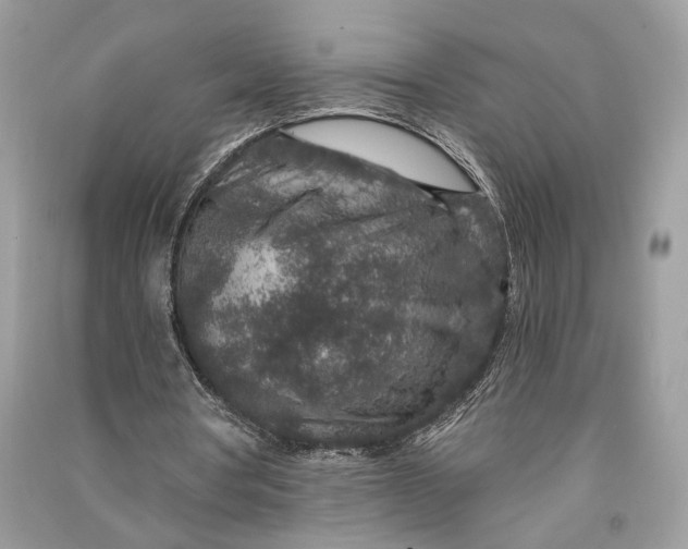 X0000090730386200708101645