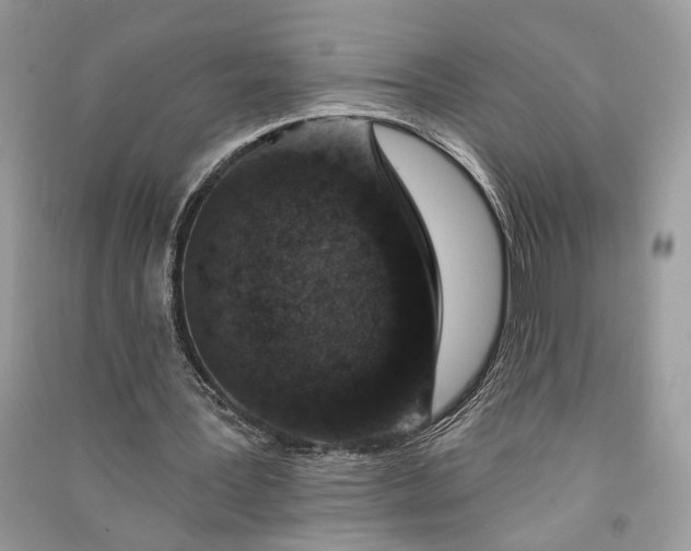 X0000090730387200708101645