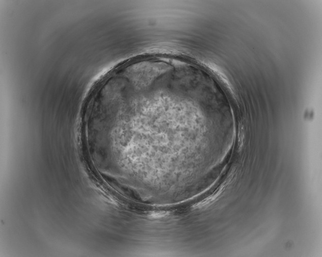 X0000090730388200708101645