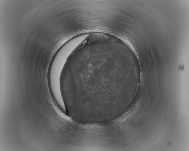 X0000090730389200708101645