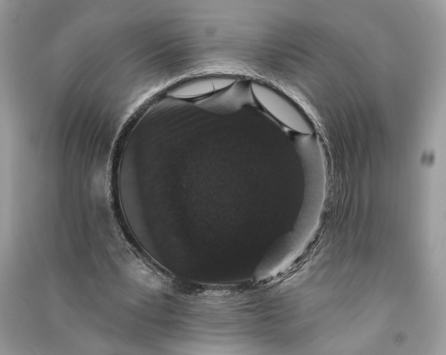 X0000090730391200708101645