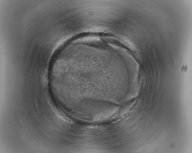 X0000090730392200708101645