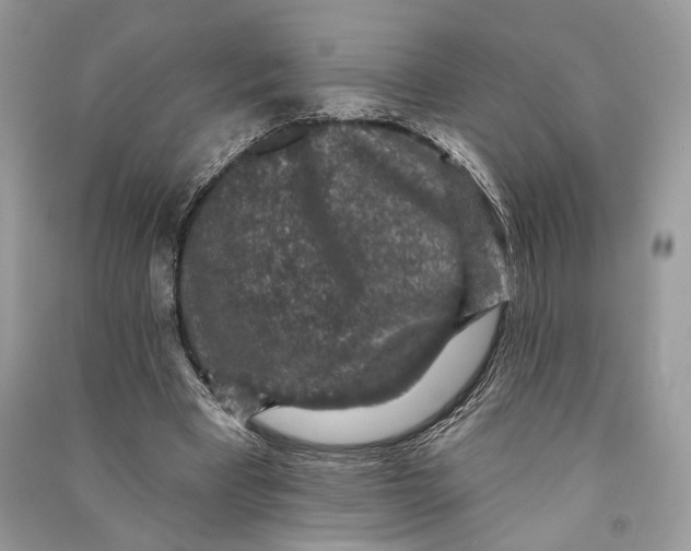 X0000090730393200708101645