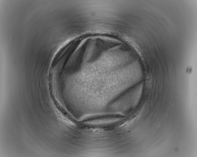 X0000090730395200708101645