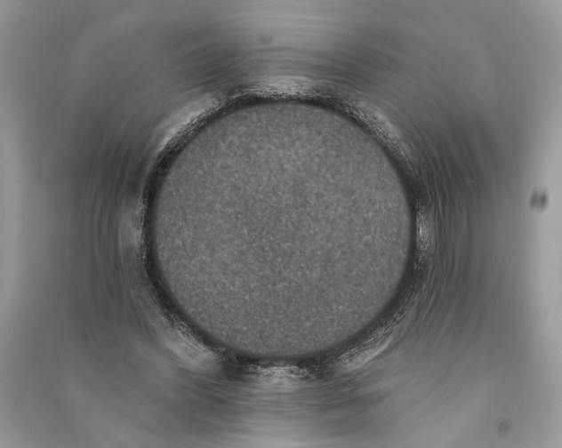 X0000090730396200708101645