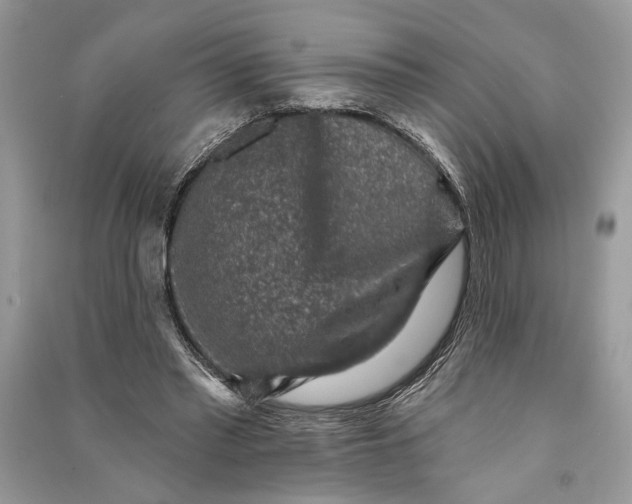 X0000090730397200708101644