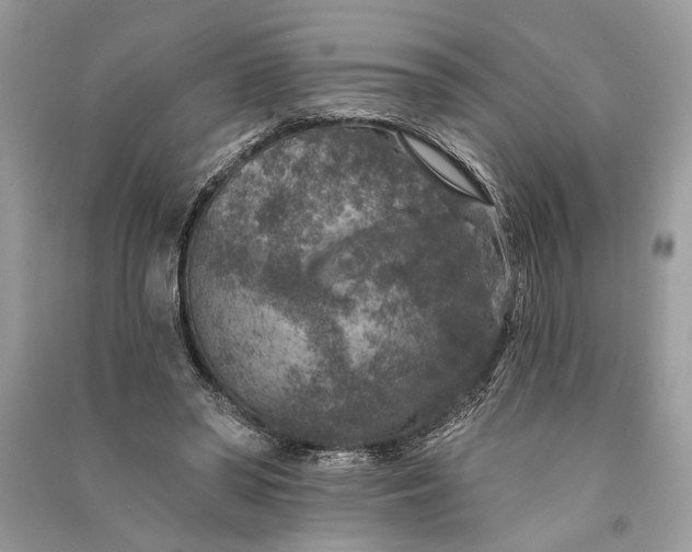 X0000090730398200708101644