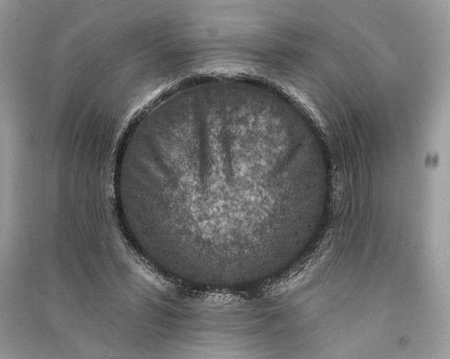 X0000090730399200708101644