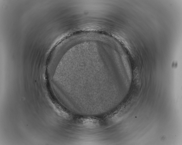 X0000090730400200708101644