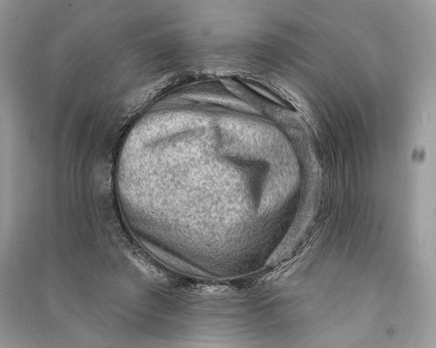 X0000090730401200708101644