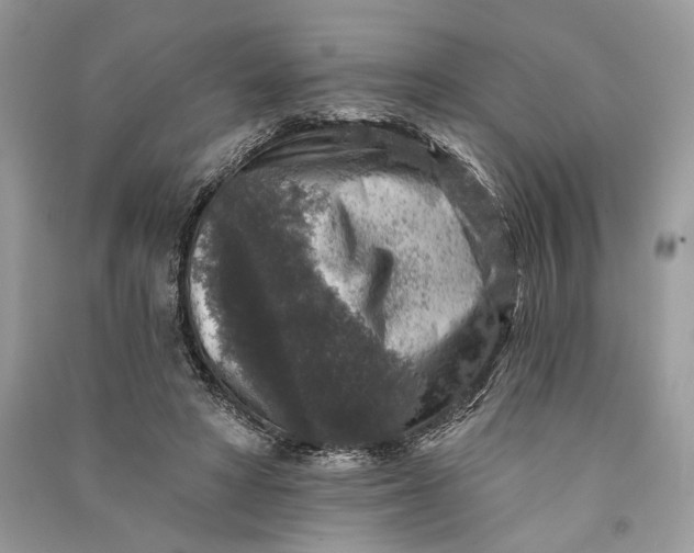 X0000090730402200708101644