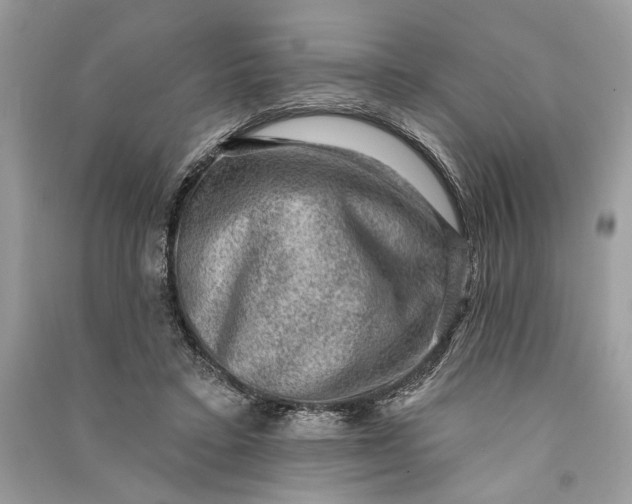 X0000090730403200708101644