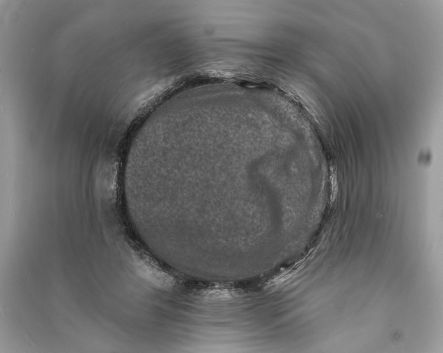 X0000090730404200708101644