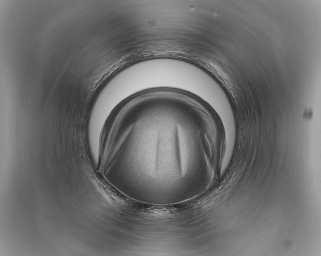 X0000090730405200708101644