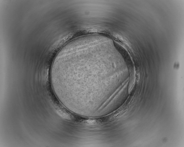 X0000090730406200708101644