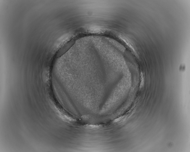 X0000090730407200708101644