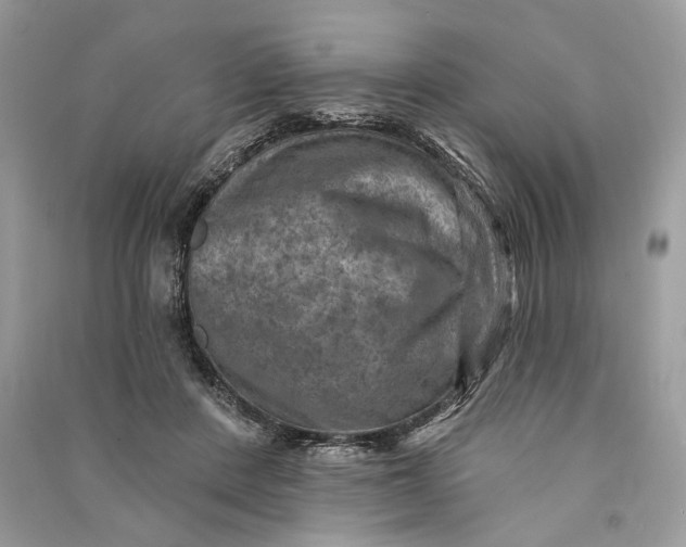 X0000090730408200708101644