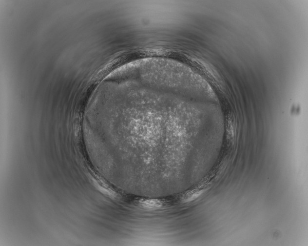 X0000090730409200708101644