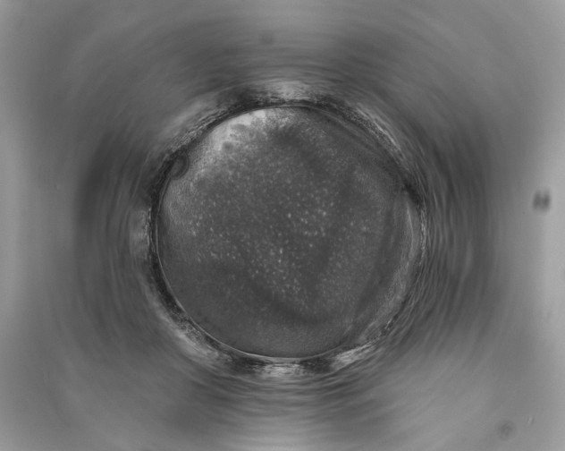 X0000090730410200708101644