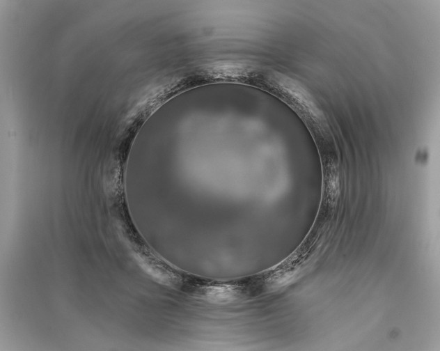 X0000090730411200708101644