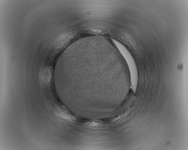 X0000090730412200708101644