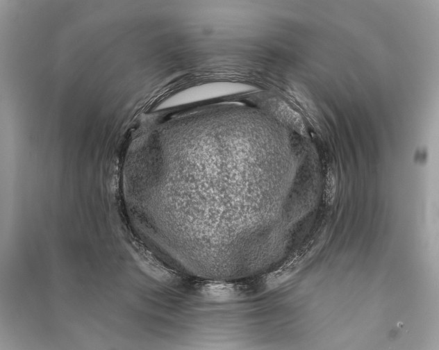 X0000090730413200708101644