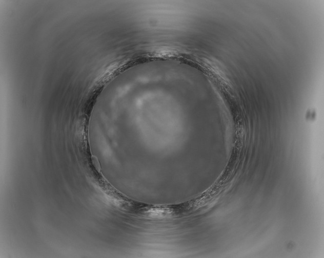 X0000090730415200708101644