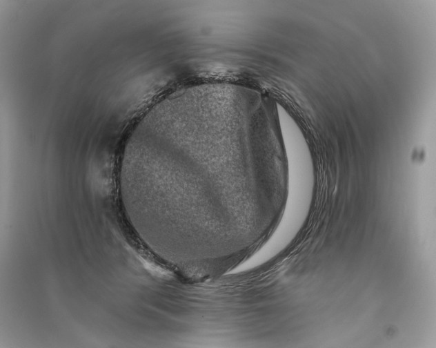 X0000090730416200708101644