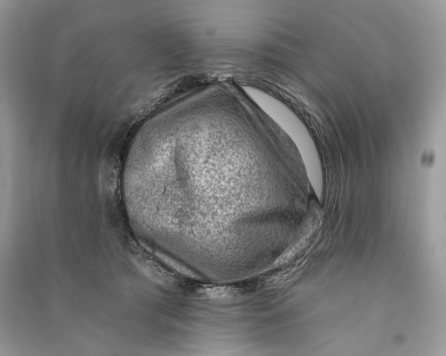 X0000090730417200708101644