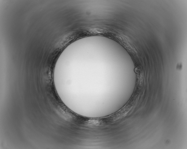 X0000090730418200708101644