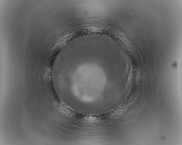 X0000090730419200708101644