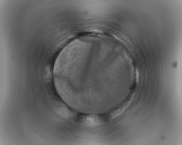 X0000090730420200708101644