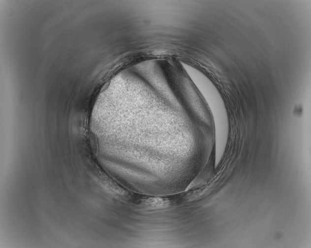 X0000090730421200708101644