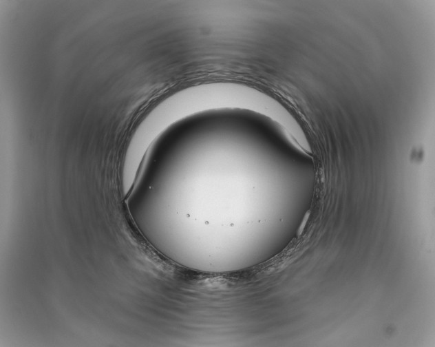 X0000090730423200708101644