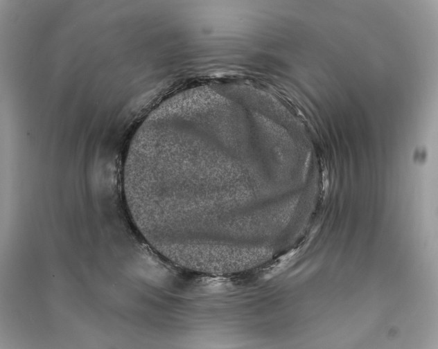 X0000090730424200708101644