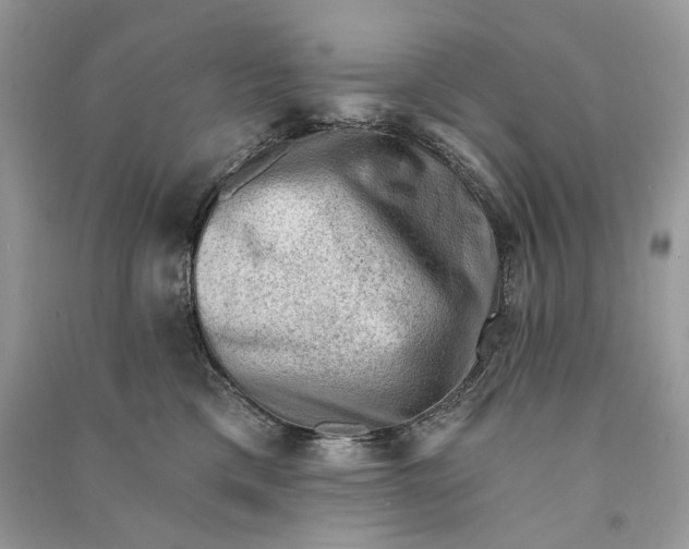 X0000090730425200708101644