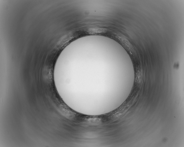 X0000090730426200708101644