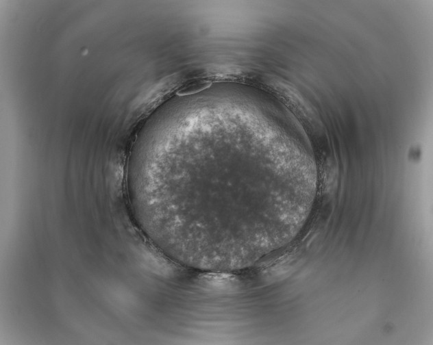 X0000090730427200708101644