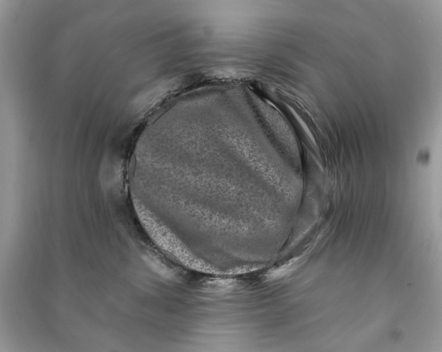 X0000090730428200708101644