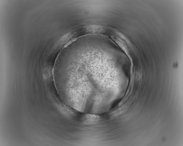 X0000090730429200708101644