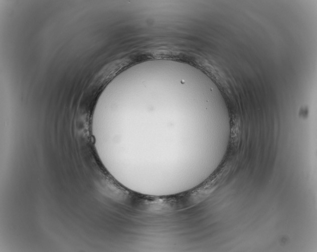 X0000090730430200708101644