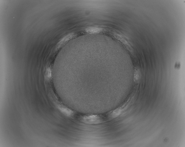 X0000090730431200708101644