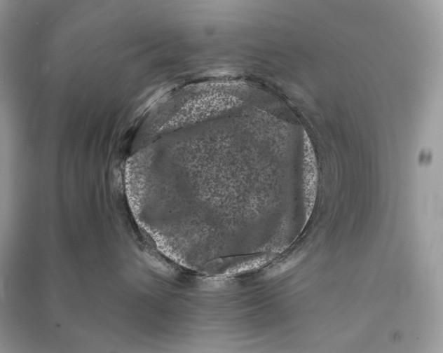 X0000090730432200708101644