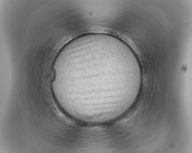 X0000090730433200708101643