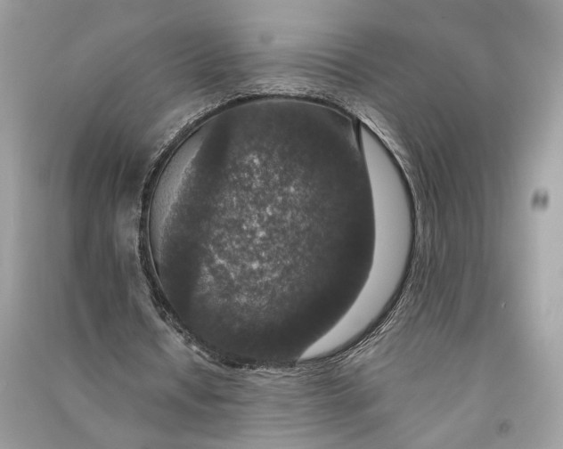 X0000090730434200708101643