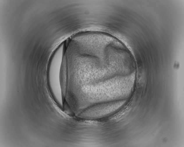 X0000090730437200708101643