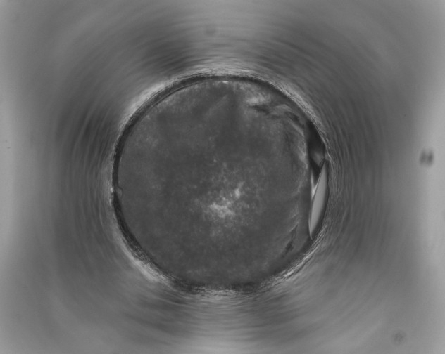 X0000090730438200708101643