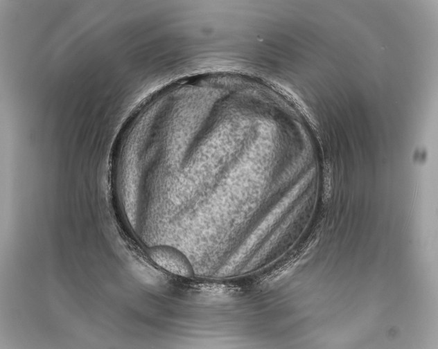 X0000090730439200708101643