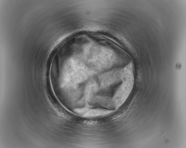 X0000090730440200708101643